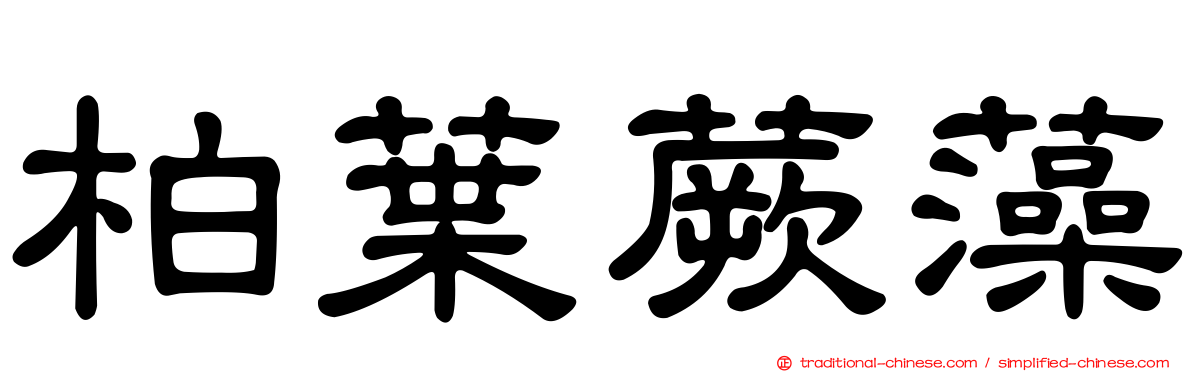 柏葉蕨藻