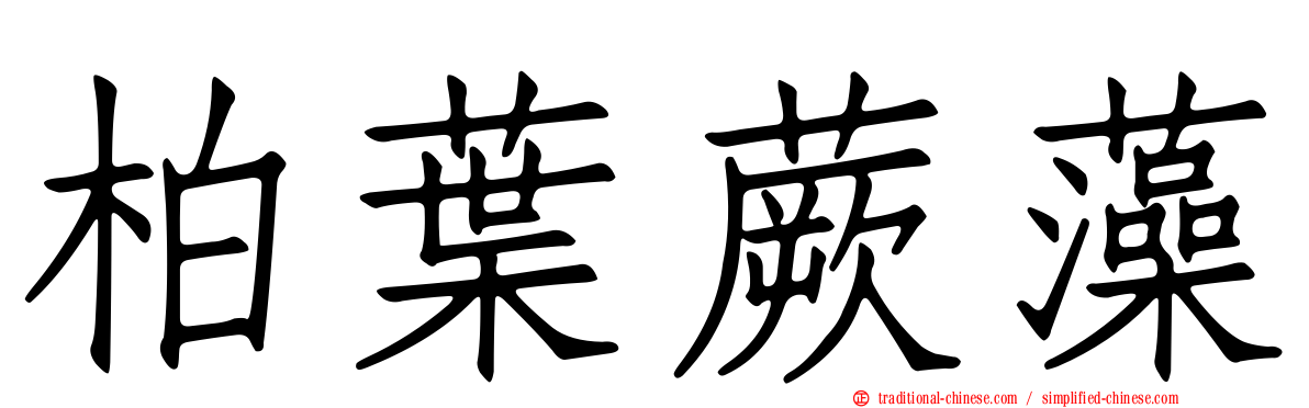 柏葉蕨藻