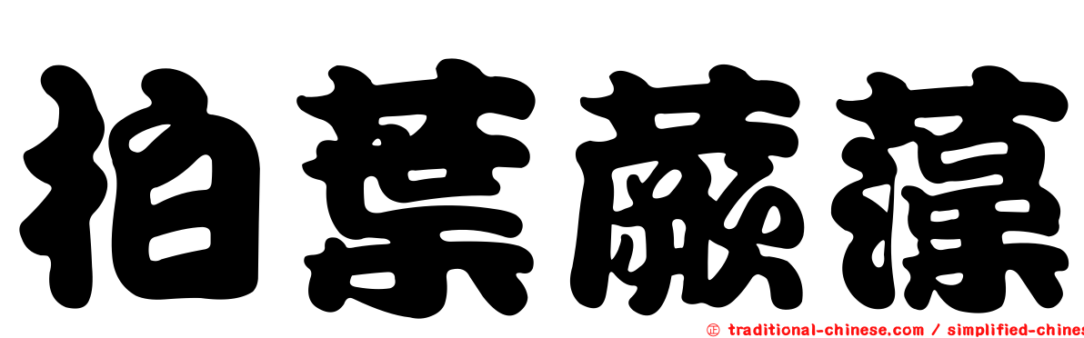 柏葉蕨藻