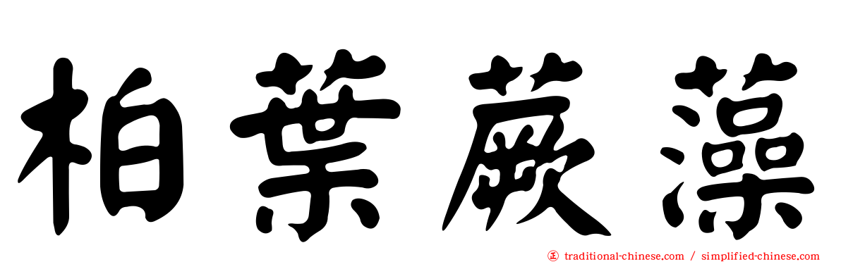 柏葉蕨藻