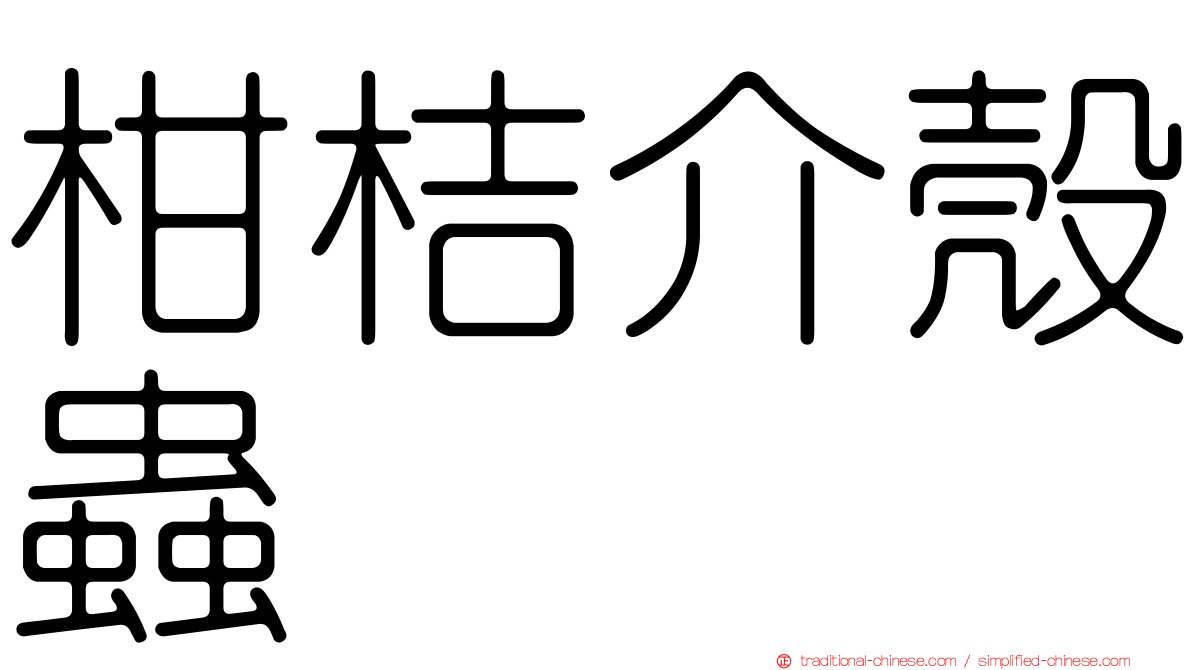柑桔介殼蟲