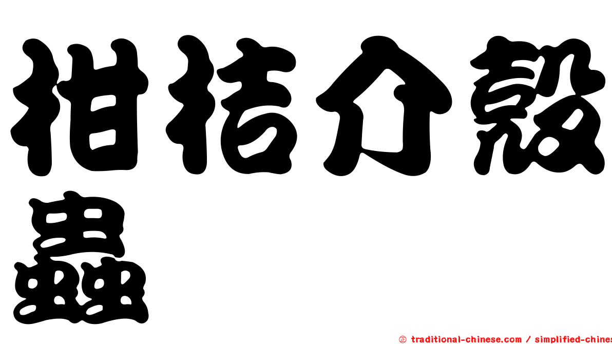 柑桔介殼蟲