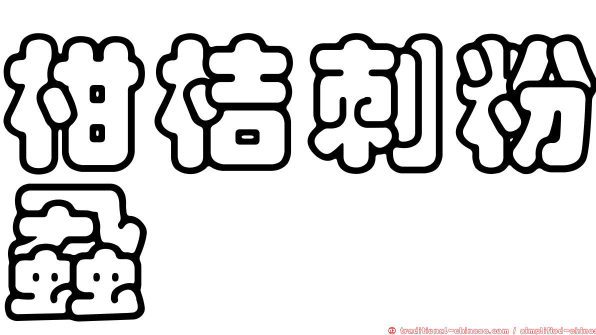 柑桔刺粉蝨