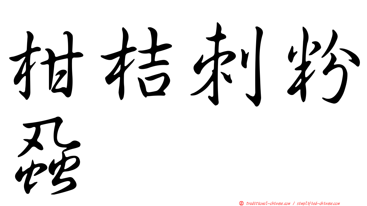 柑桔刺粉蝨