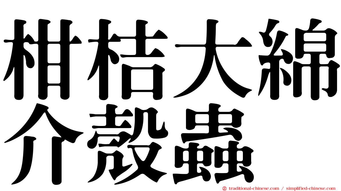柑桔大綿介殼蟲