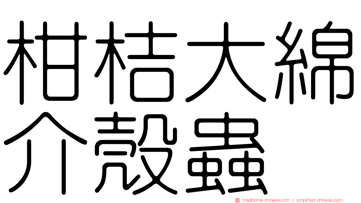 柑桔大綿介殼蟲