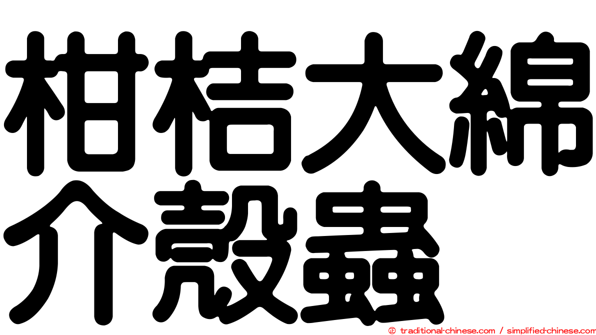 柑桔大綿介殼蟲