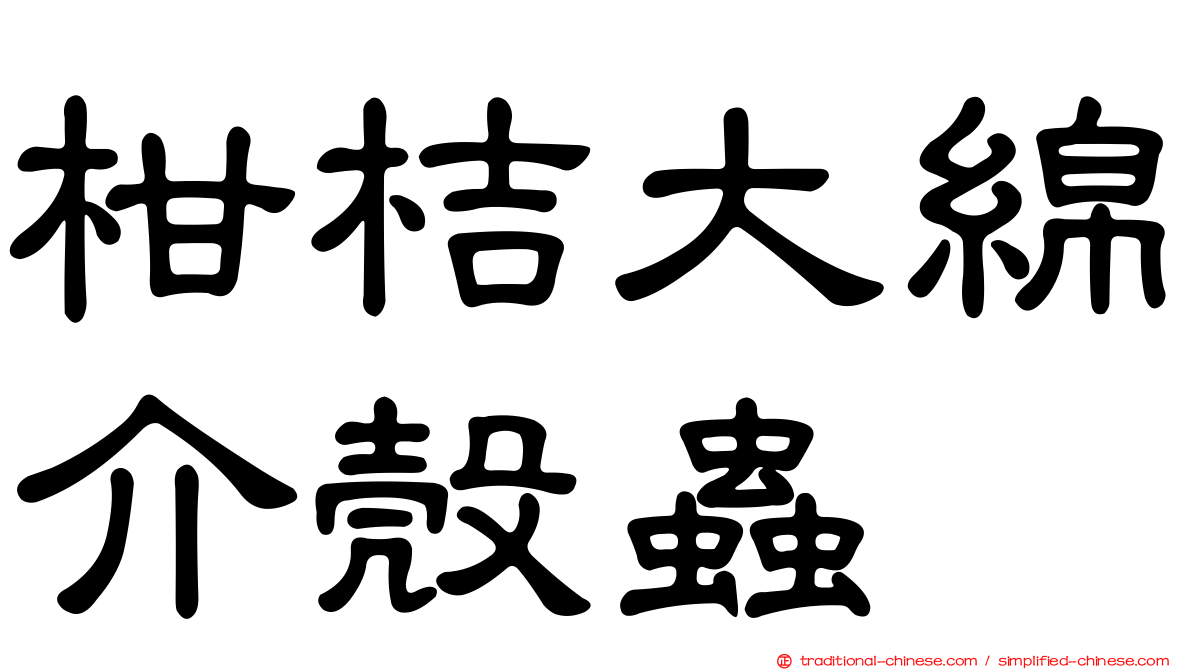 柑桔大綿介殼蟲