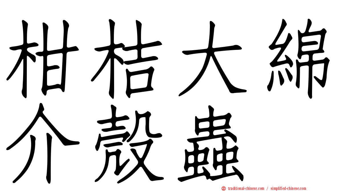 柑桔大綿介殼蟲