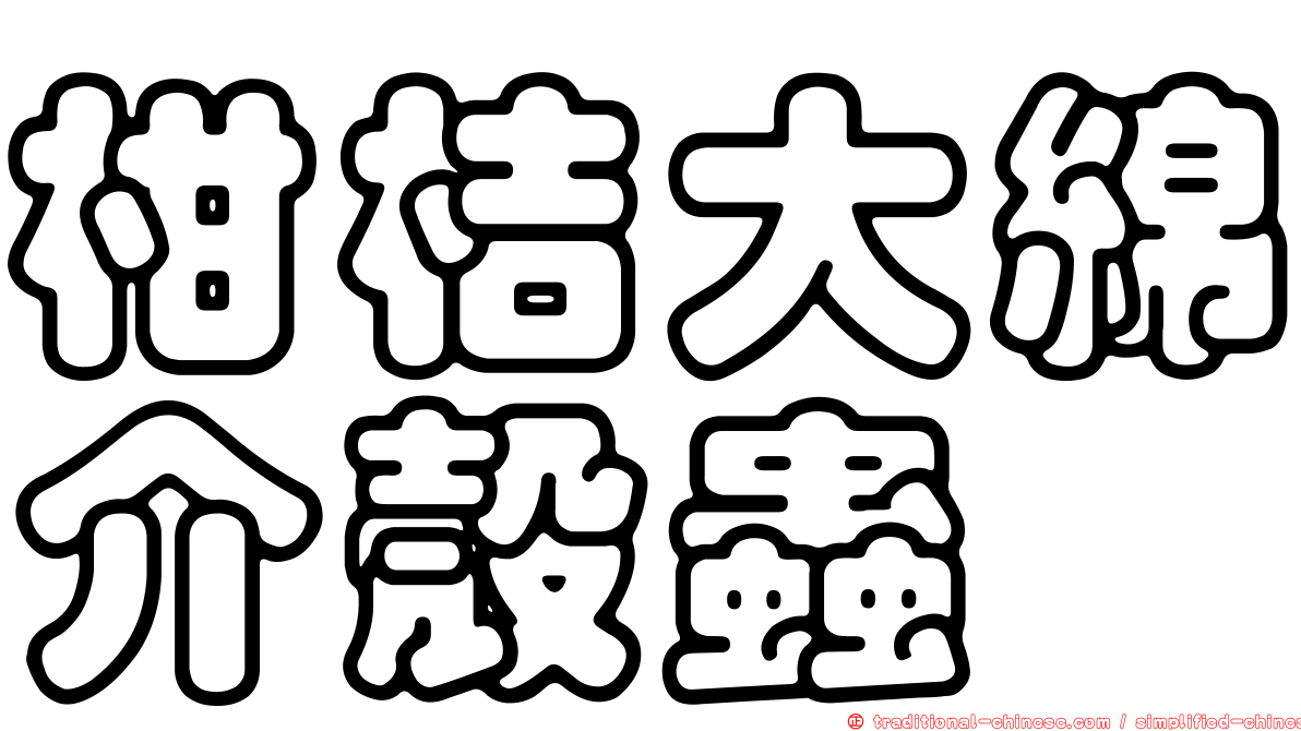 柑桔大綿介殼蟲