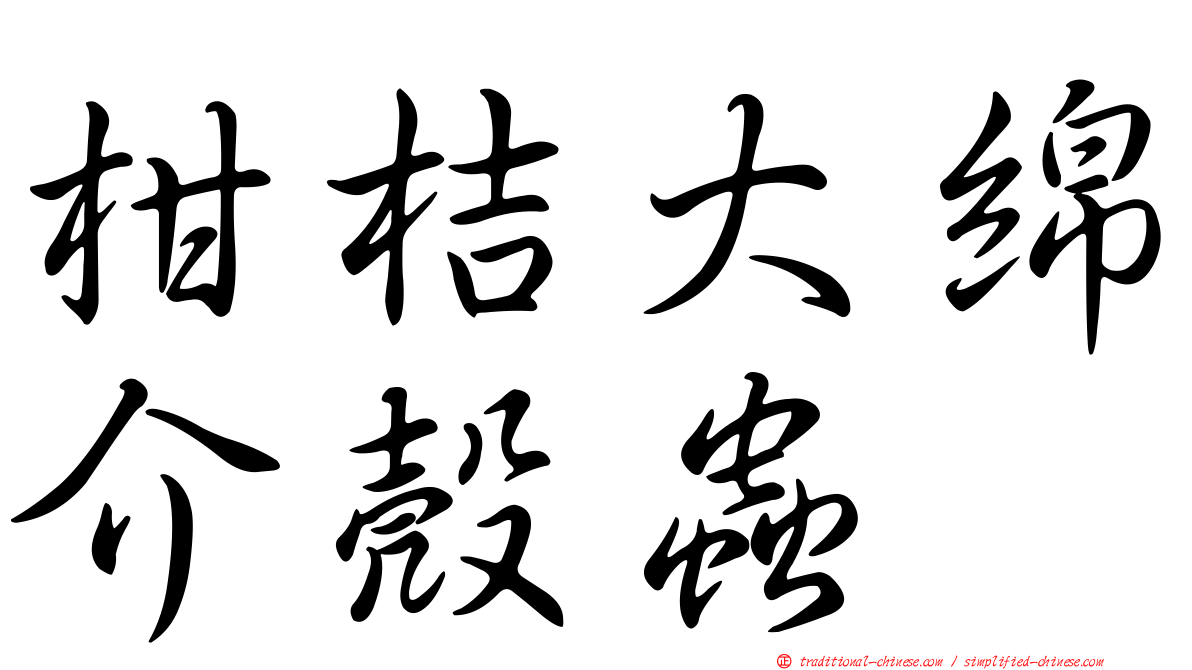 柑桔大綿介殼蟲