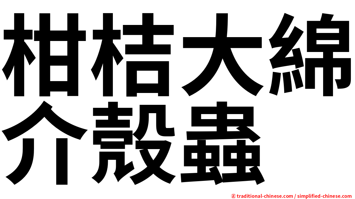 柑桔大綿介殼蟲