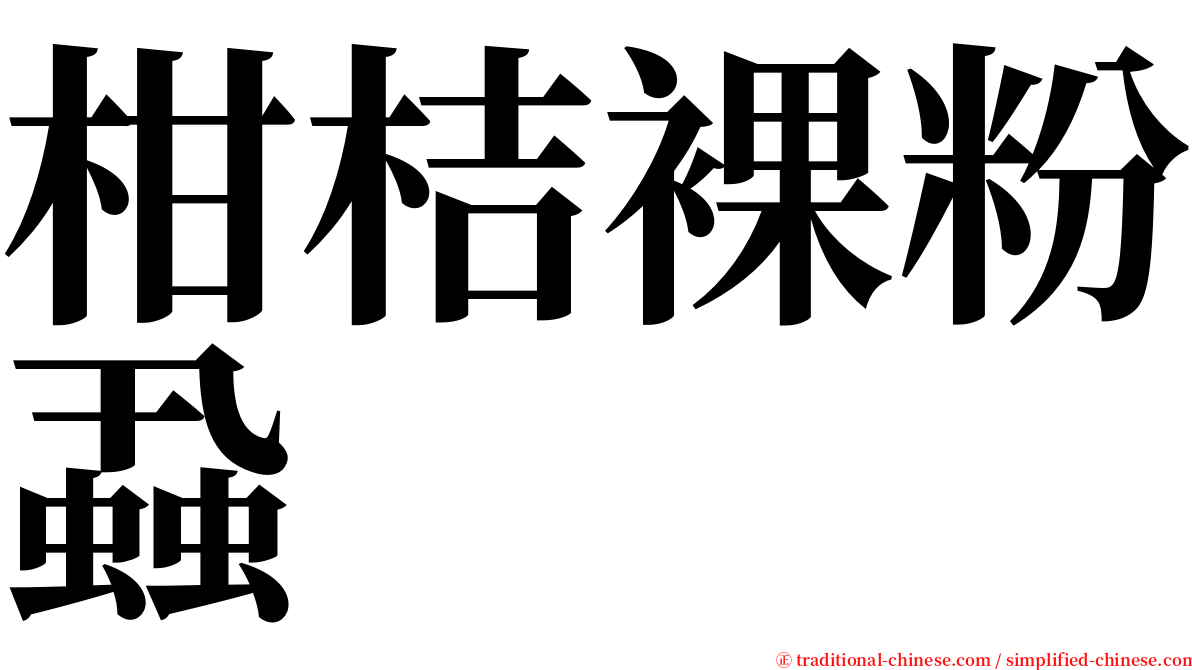 柑桔裸粉蝨 serif font