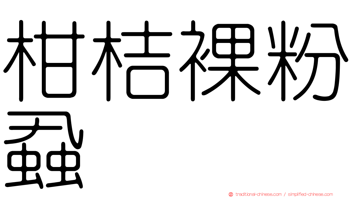 柑桔裸粉蝨