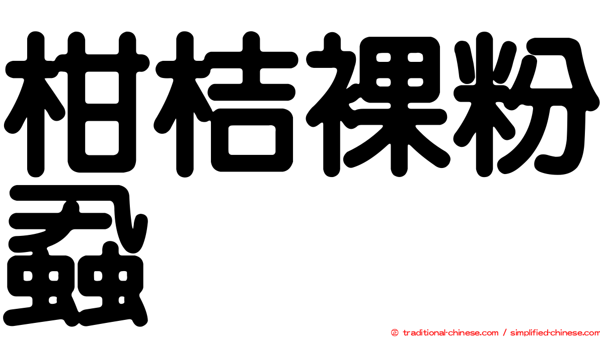 柑桔裸粉蝨