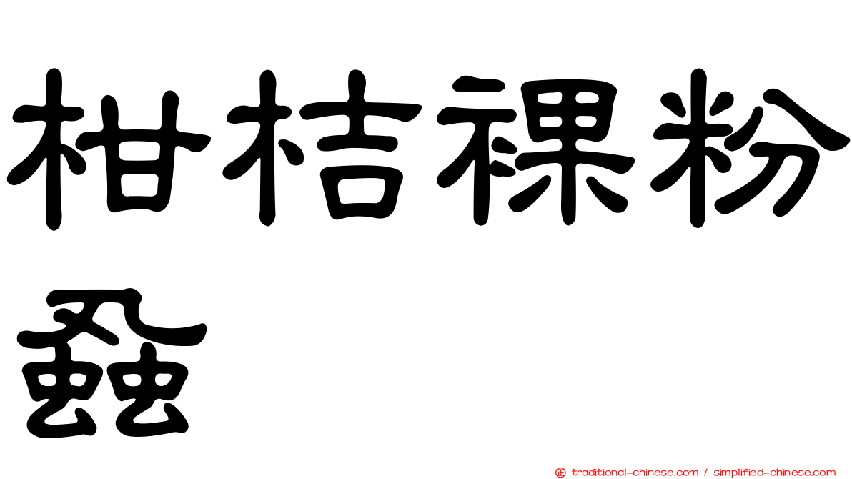 柑桔裸粉蝨