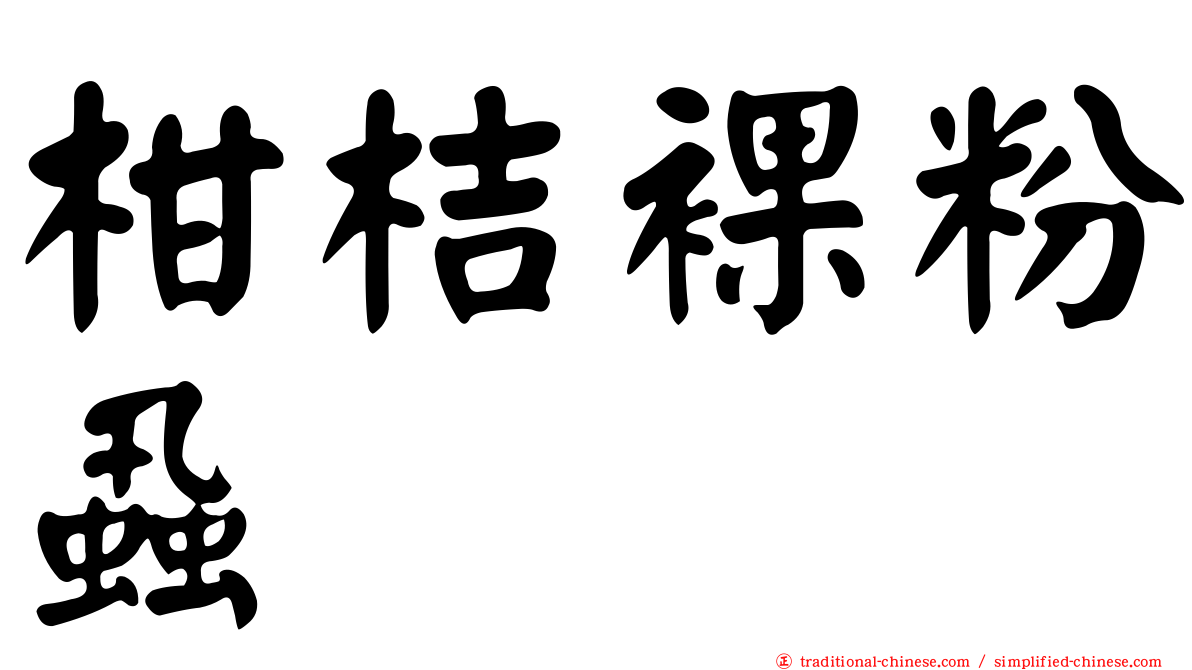 柑桔裸粉蝨