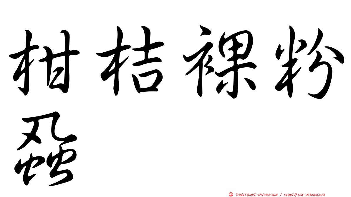 柑桔裸粉蝨