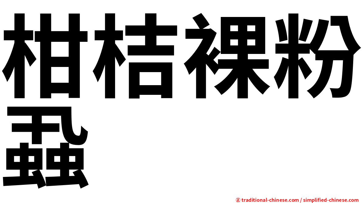 柑桔裸粉蝨