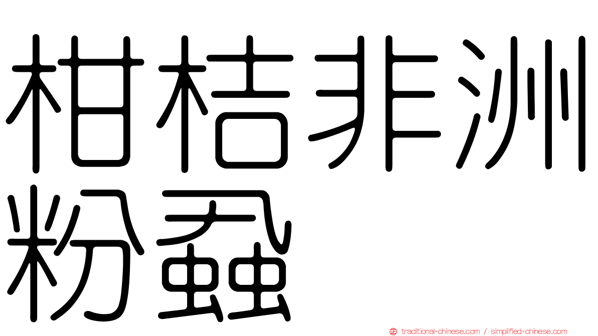 柑桔非洲粉蝨