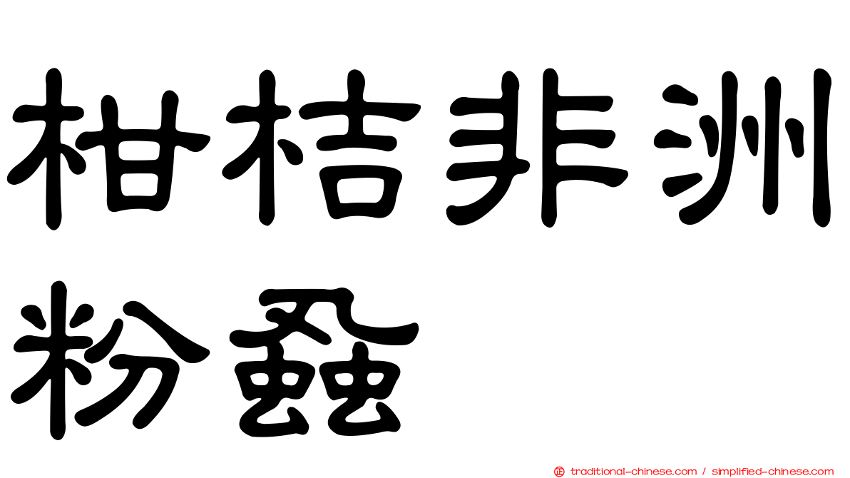 柑桔非洲粉蝨