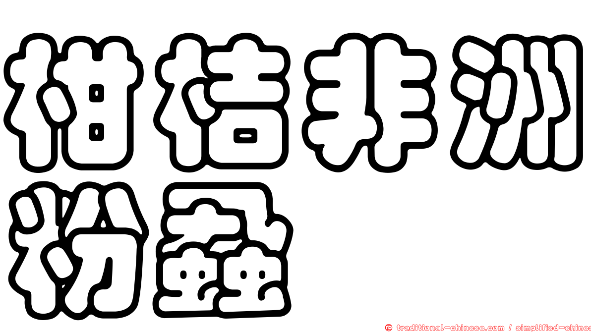 柑桔非洲粉蝨