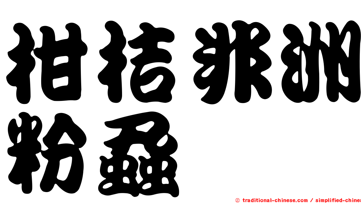 柑桔非洲粉蝨