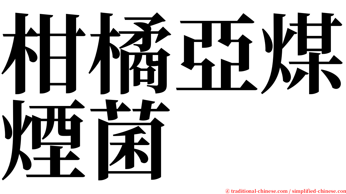 柑橘亞煤煙菌 serif font