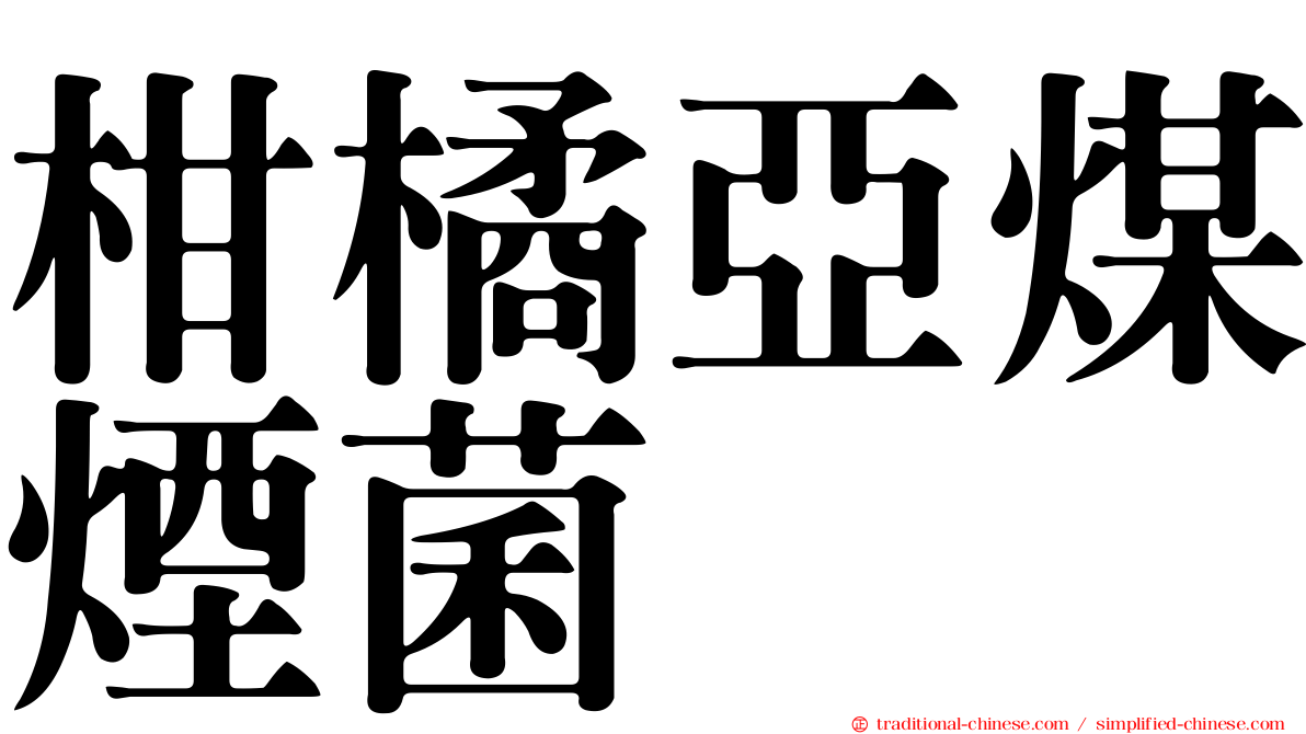 柑橘亞煤煙菌