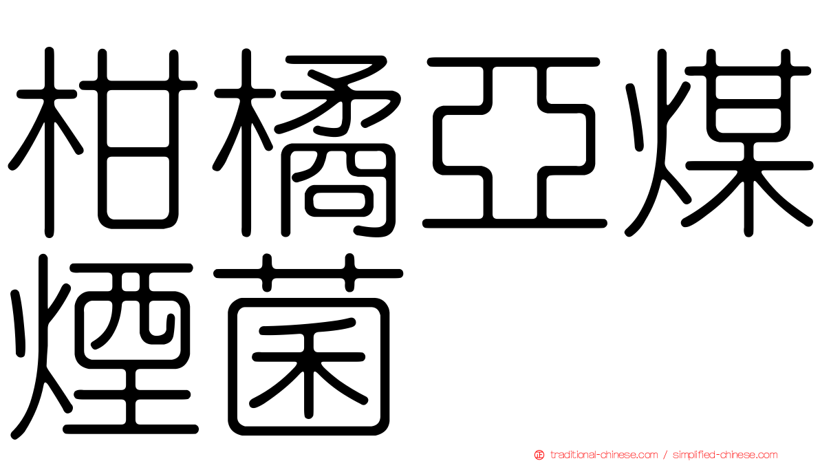 柑橘亞煤煙菌