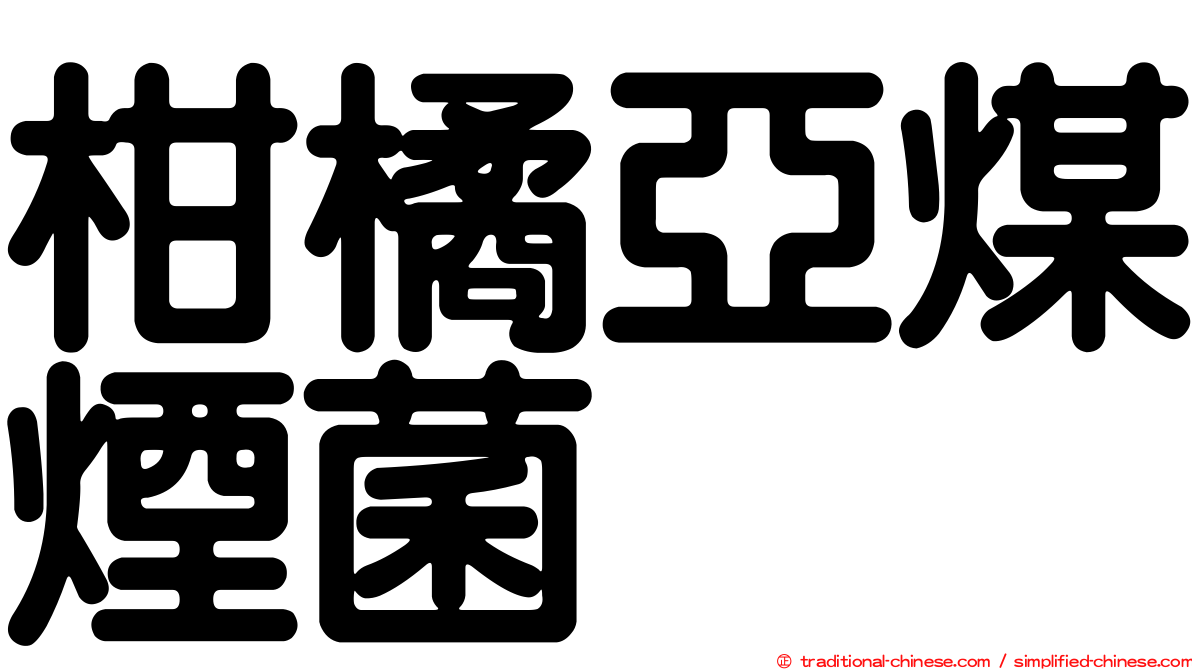 柑橘亞煤煙菌