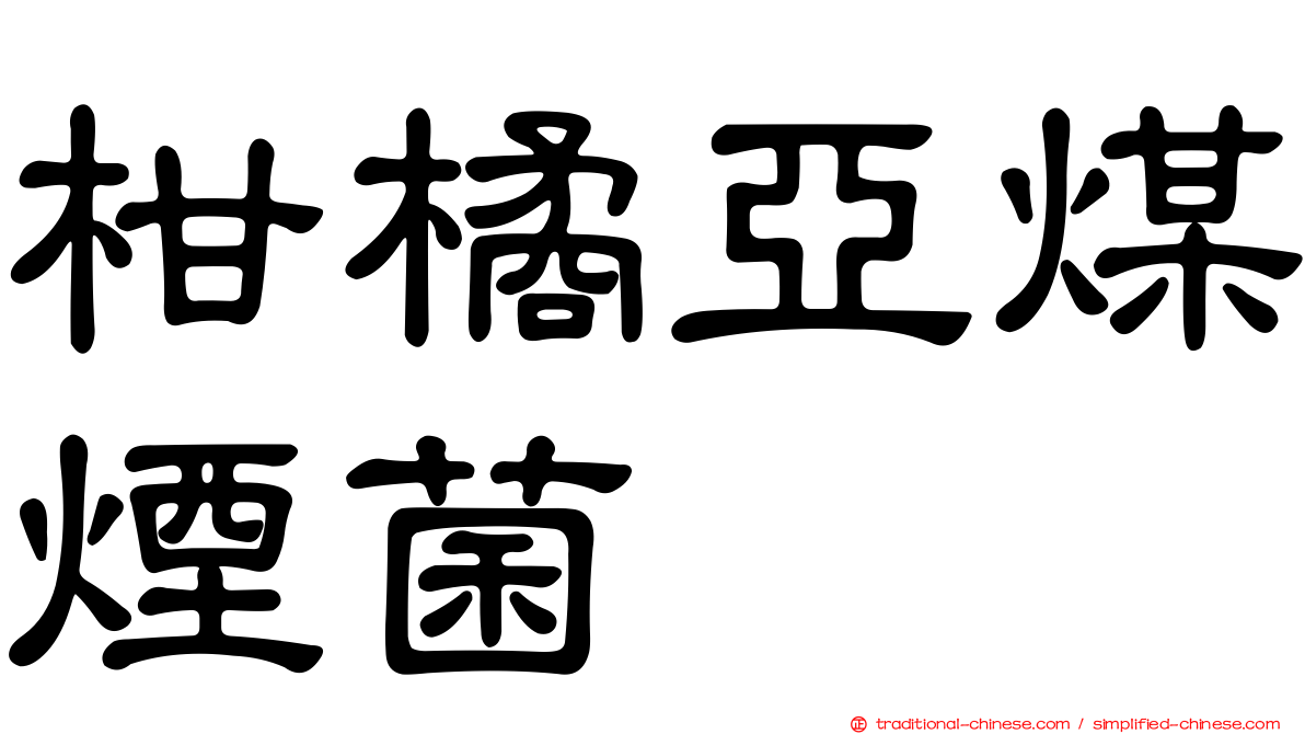 柑橘亞煤煙菌