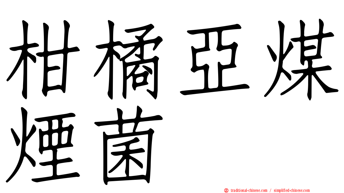 柑橘亞煤煙菌