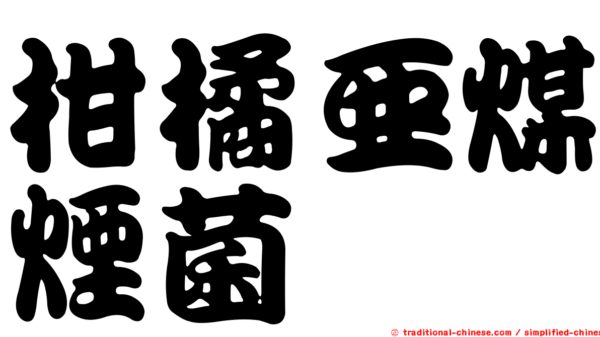 柑橘亞煤煙菌