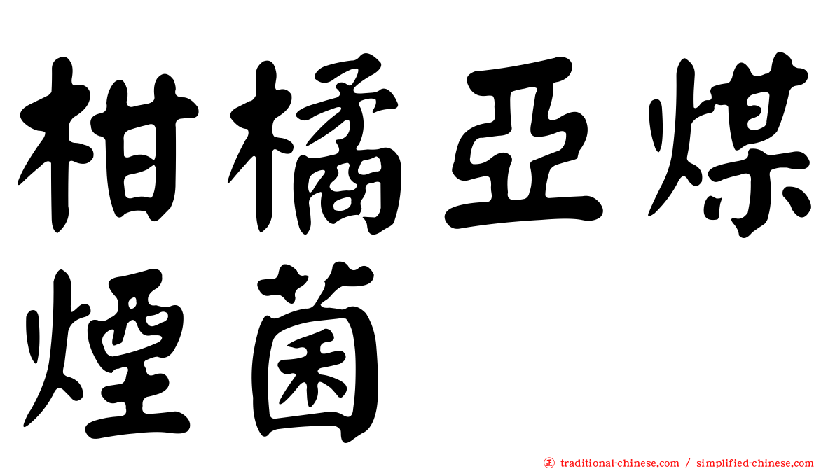 柑橘亞煤煙菌