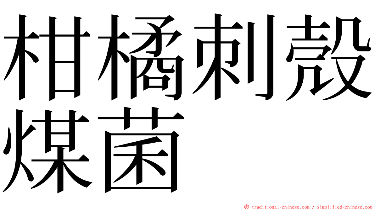 柑橘刺殼煤菌 ming font
