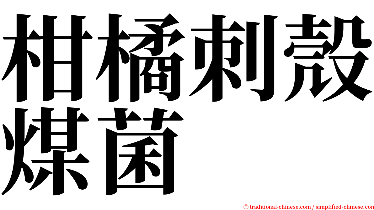 柑橘刺殼煤菌 serif font