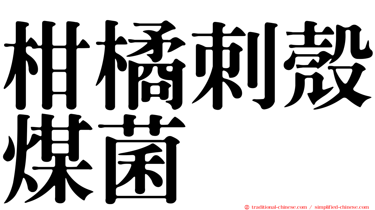 柑橘刺殼煤菌