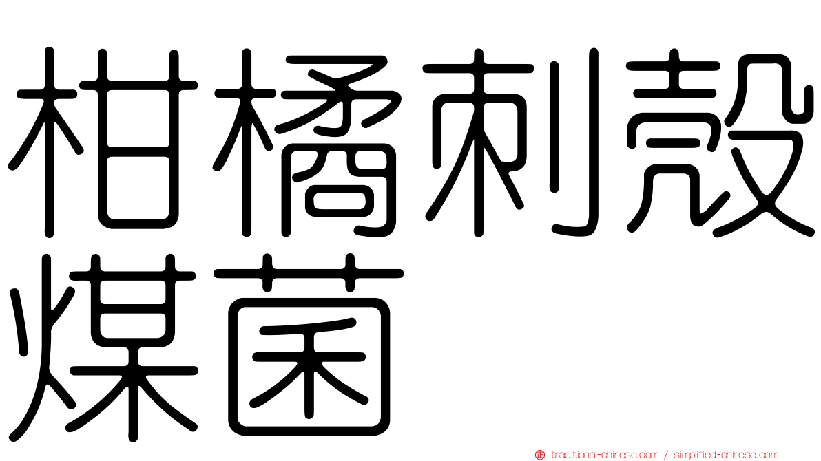 柑橘刺殼煤菌