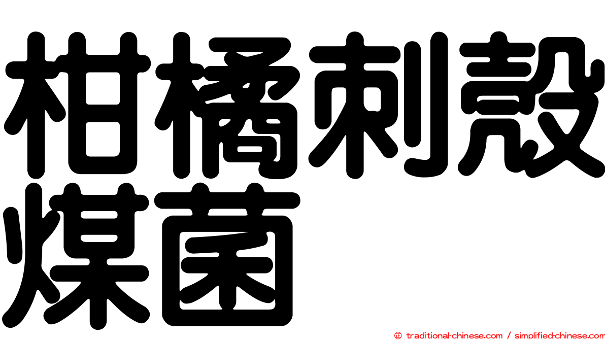 柑橘刺殼煤菌