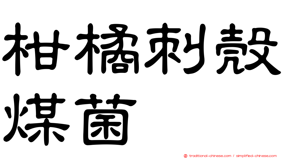 柑橘刺殼煤菌