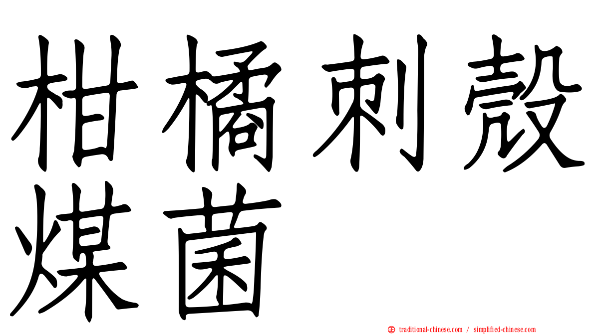 柑橘刺殼煤菌