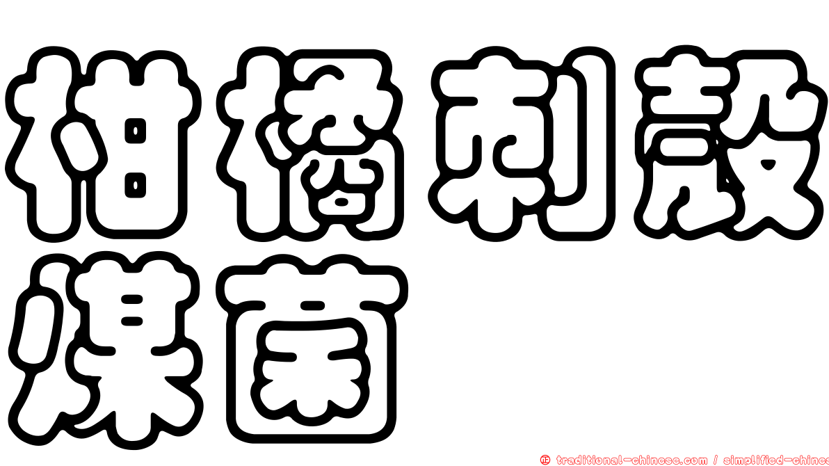 柑橘刺殼煤菌