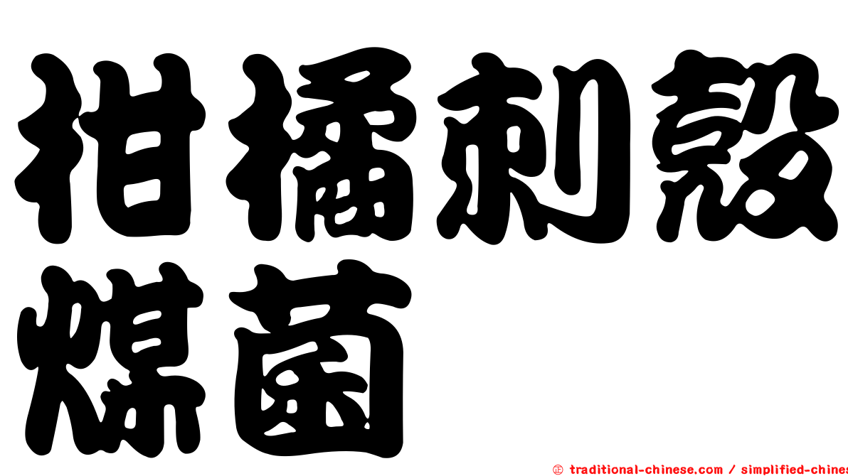 柑橘刺殼煤菌
