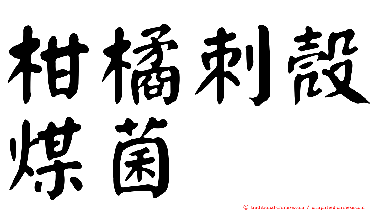 柑橘刺殼煤菌