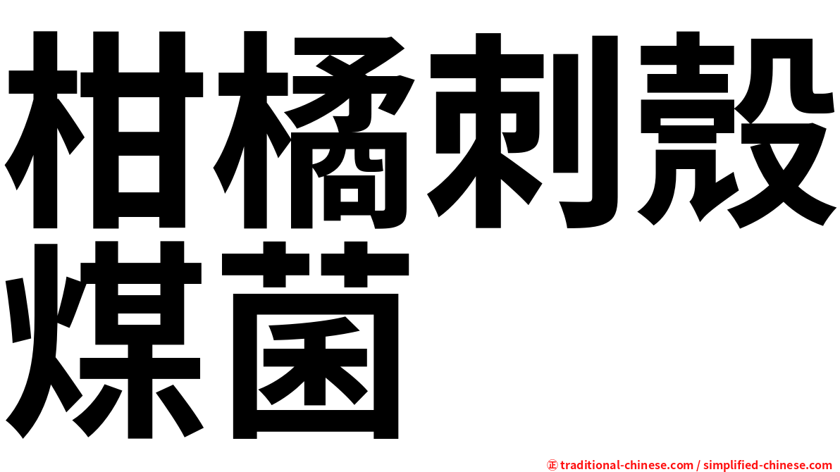 柑橘刺殼煤菌