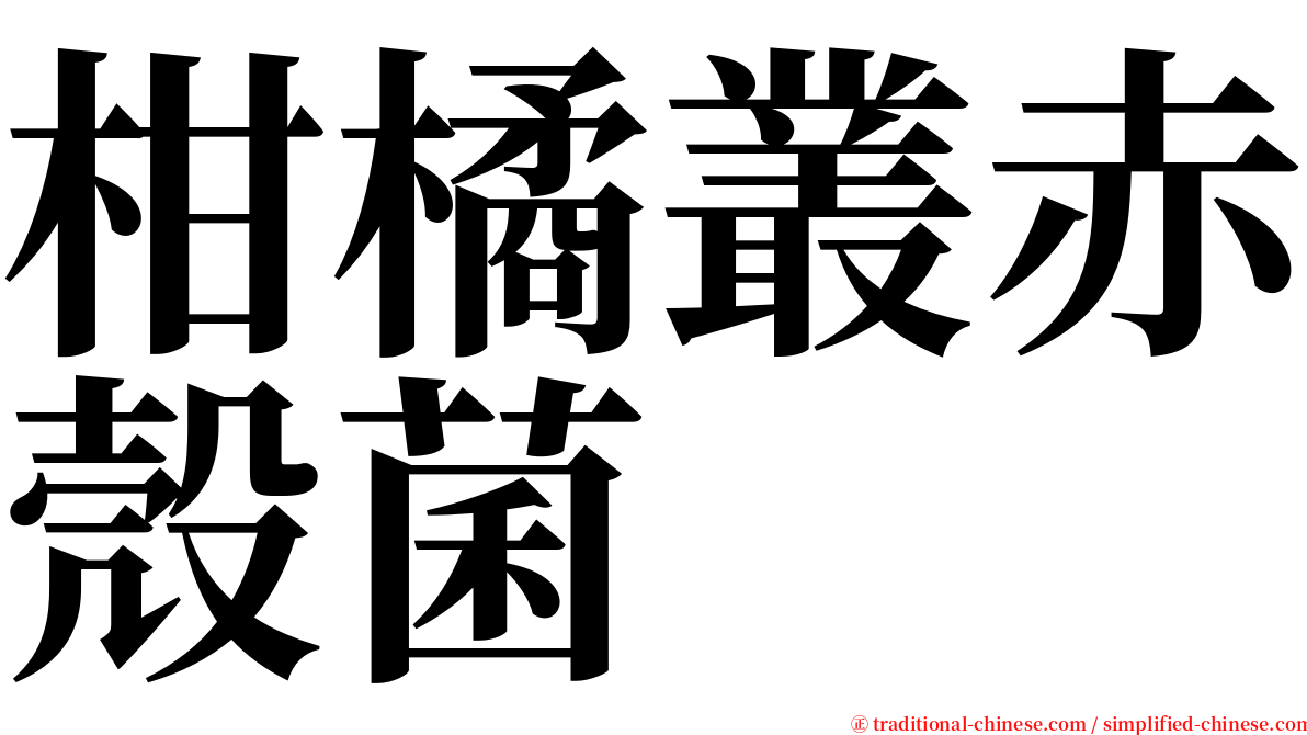 柑橘叢赤殼菌 serif font
