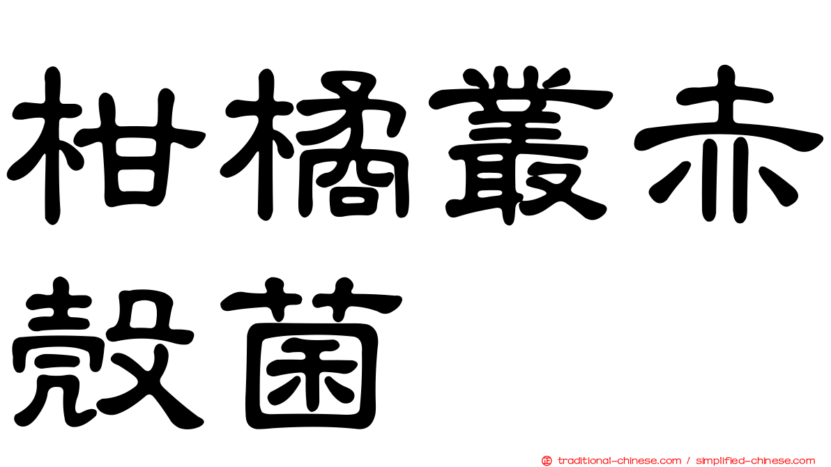 柑橘叢赤殼菌