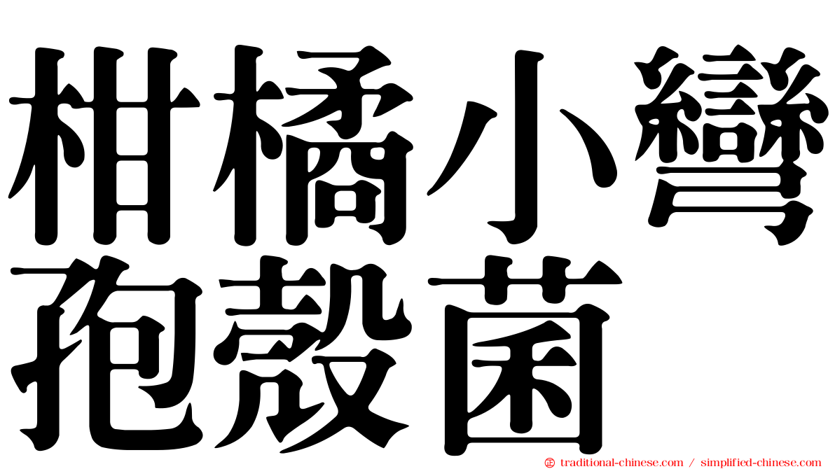 柑橘小彎孢殼菌