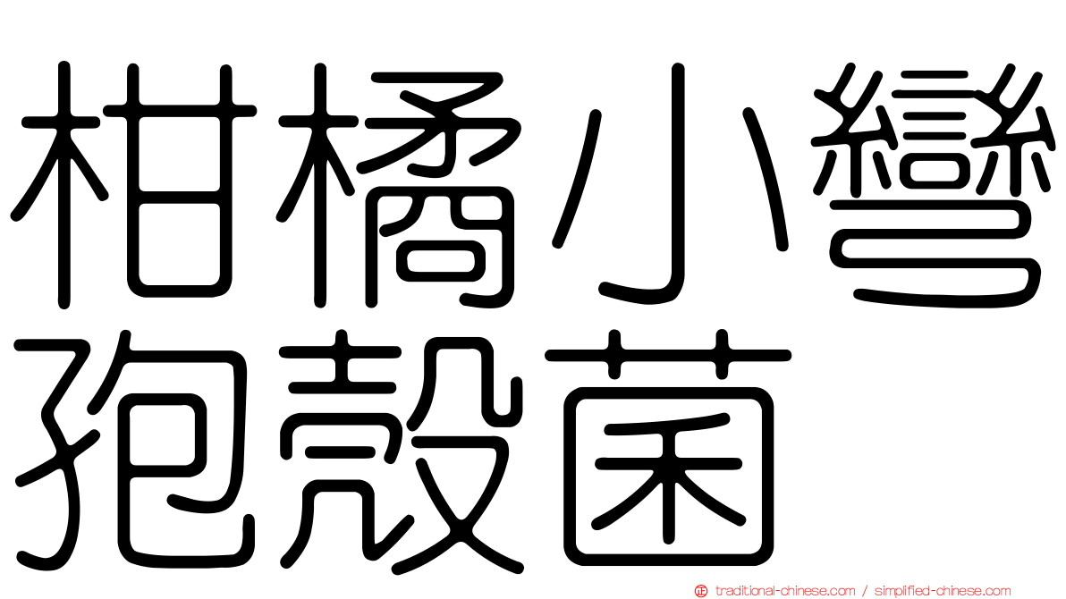 柑橘小彎孢殼菌